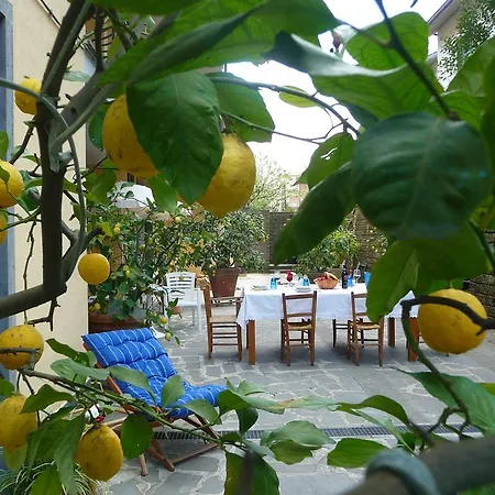 Balneum Regis Apartment Bagnoregio