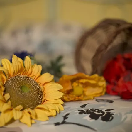 Apartment Balneum Regis Bagnoregio