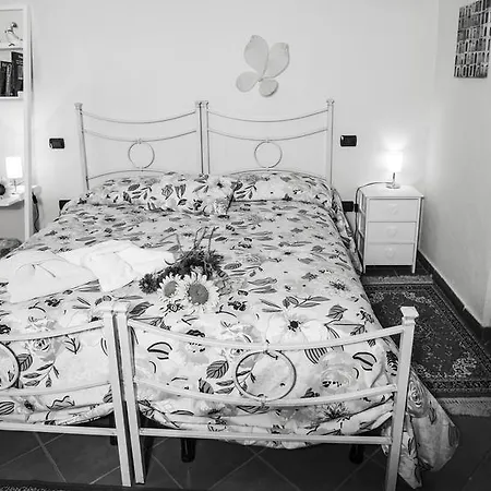 Balneum Regis Apartment *